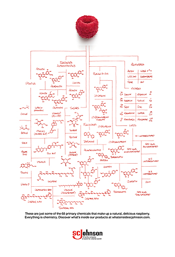 Click here to get the downloadable everything is chemistry raspberry poster