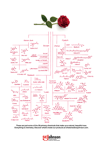 Click here to get the downloadable everything is chemistry rose poster