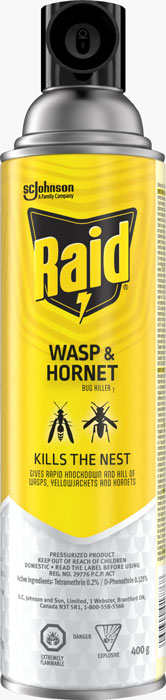 Raid® Wasp & Hornet Bug Killer 7