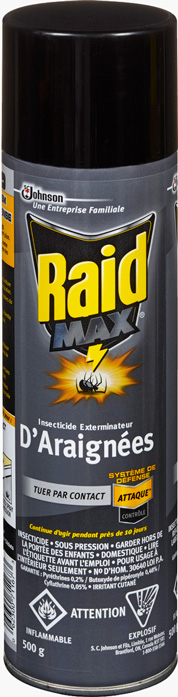 Insecticide Raid Exterminateur d'araignées, tue les insectes au contact,  pour utilisation à l'intérieur et à l'extérieur, 350 g