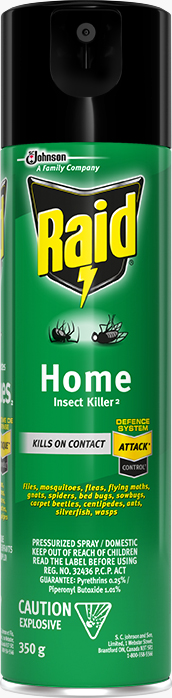 Raid® Home Insect Killer 2
