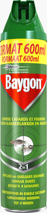BAYGON® AEROSOL  RAMPANTS  600 ml