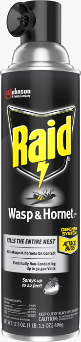Raid® Wasp & Hornet Killer 33