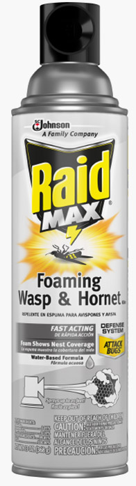 Raid Max® Foaming Wasp & Hornet Killer (Discontinued)