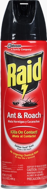 Raid® Ant & Roach Killer 26 - Outdoor Fresh®